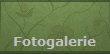 Fotogalerie